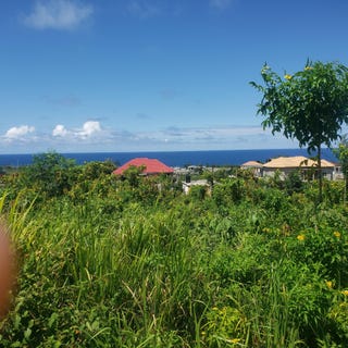 /international/jm/505-boscobel-heights-boscobel-heights-st-mary-parish-310106629947/