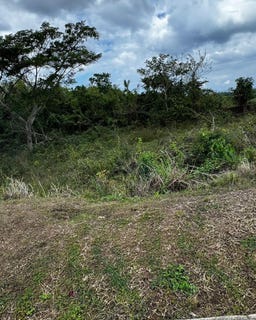 /international/jm/32-negril-estate-negril-westmoreland-parish-310108563772/