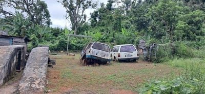 /international/jm/clarke-street-browns-town-st-ann-parish-310107791805/