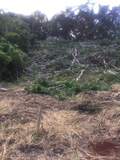 /international/jm/26-forest-glade-ocean-boule-rio-nuevo-st-mary-parish-310107423948/