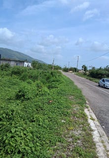 /international/jm/lot-329-palmbrook-estate-lacovia-st-elizabeth-parish-310108432651/