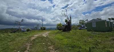 /international/jm/240-bounty-hall-bounty-hall-trelawny-parish-310107524390/