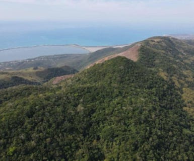 /international/jm/mount-george-yallahs-saint-thomas-parish-310108528257/