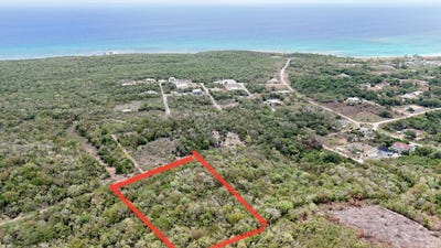 /international/jm/gentles-pen-carey-park-duncans-trelawny-parish-310101108332/