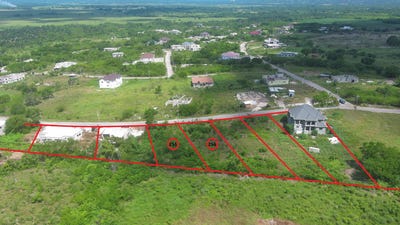 /international/jm/palmbrook-estate-lot-255-lacovia-st-elizabeth-parish-310106506828/
