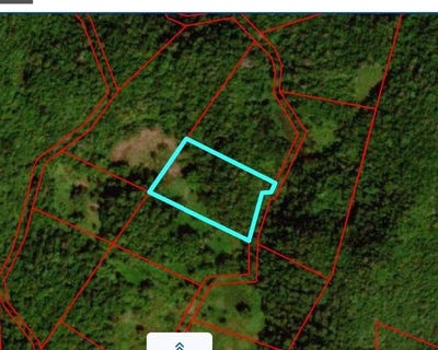 /international/jm/unity-lot-194-bunkers-hill-trelawny-parish-310107189363/