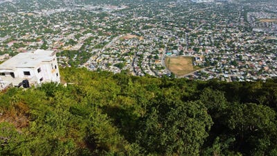 /international/jm/79-elmwood-drive-patrick-he-kingston-20-st-andrew-parish-310101042784/