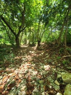 /international/jm/rose-hill-st-ann-lot-66-runaway-bay-st-ann-parish-310108971125/