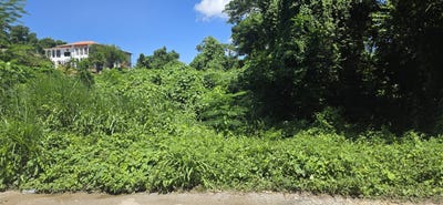 /international/jm/haskette-road-negril-westmoreland-parish-310100960152/?lang=zh-tw