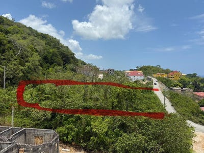 /international/jm/hills-of-boscobel-st-mar-hills-of-boscobel-st-mary-parish-310101351407/?lang=en