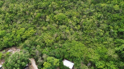 /international/jm/ratcliffe-park-spanish-town-saint-catherine-parish-310108214439/