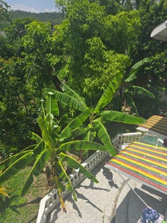 /international/jm/62-columbus-drive-mammee-bay-st-ann-parish-310108672269/?lang=it