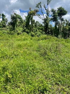 /international/jm/part-of-new-works-new-works-westmoreland-parish-310107769283/
