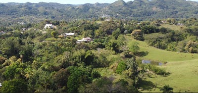 /international/jm/hopewell-plantation-st-st-leonards-westmoreland-parish-310108326707/