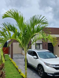/international/jm/42-s-beach-blvd-ocho-rios-st-ann-parish-310107248784/
