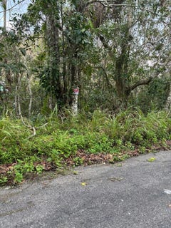 /international/jm/shoucair-circle-lot-33-kingston-19-st-andrew-parish-310104507251/