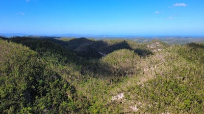 /international/jm/oxford-and-cambridge-mt-clarks-town-trelawny-parish-310103664987/
