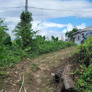 /international/jm/rodney-hall-road-linstea-linstead-saint-catherine-parish-310096214467/?lang=de