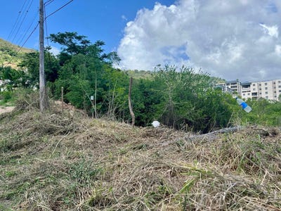 /international/jm/lot-7b-barbican-heights-kingston-6-st-andrew-parish-310101374038/