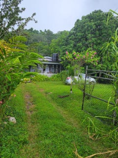 /international/jm/joyces-road-golden-spring-p-o-st-andrew-parish-310101407866/?lang=en