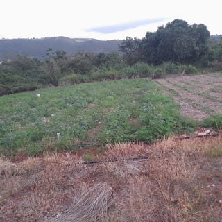 /international/jm/gayletown-top-hill-top-hill-st-elizabeth-parish-310106609753/
