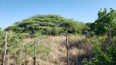 /international/jm/vcx3-3r-bull-bay-saint-thomas-parish-310107741121/