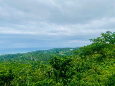 /international/jm/20-belle-air-dunbarton-st-ann-parish-310106462064/