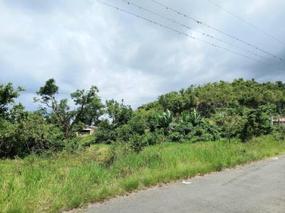 /international/jm/burnt-ground-santa-cruz-st-elizabeth-parish-310107448125/