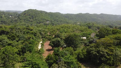 /international/jm/retirement-discovery-bay-st-ann-parish-310101203124/?lang=de