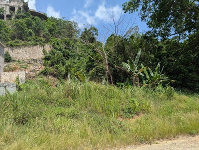 /international/jm/maverley-mountain-red-hills-st-andrew-parish-310108431452/