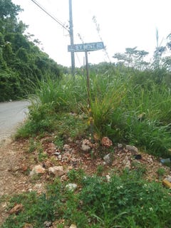 /international/jm/23-airymount-road-mandeville-manchester-parish-310107496187/
