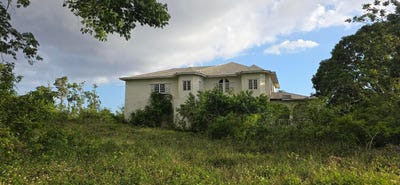 /international/jm/4-pitkelleney-mount-airy-lot-47-white-house-wd-westmoreland-parish-310107044442/