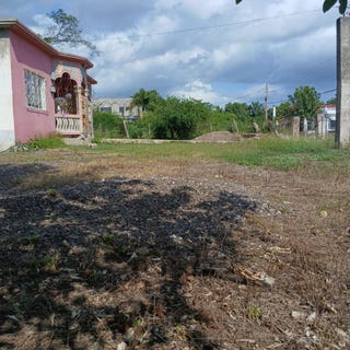 /international/jm/green-park-palmer-s-cros-palmers-cross-clarendon-310108486532/