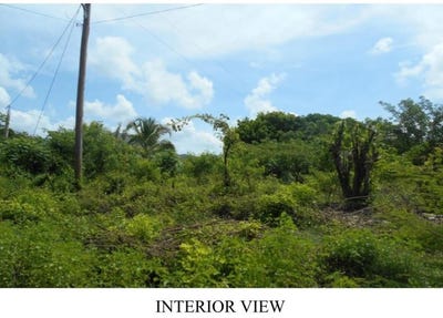 /international/jm/denbeigh-clarendon-denbigh-clarendon-310108870131/