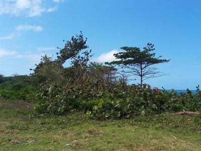 /international/jm/little-spring-garden-lot-87-st-margaret-s-bay-portland-parish-310106715694/