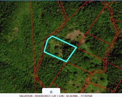 /international/jm/unity-lot-193-bunkers-hill-trelawny-parish-310107297077/