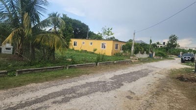 /international/jm/luana-lot-516-middle-quarters-st-elizabeth-parish-310108786763/?lang=fr
