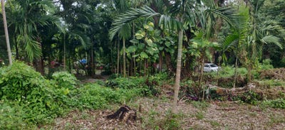 /international/jm/21-villa-road-port-maria-st-mary-parish-310107368012/