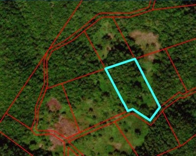 /international/jm/unity-lot-198-bunkers-hill-trelawny-parish-310107044310/