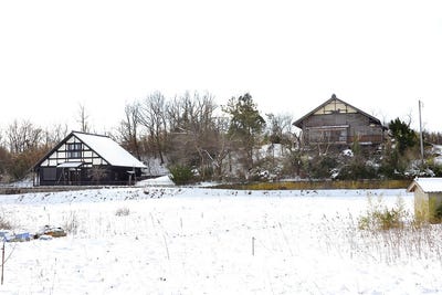/international/jp/tainai-city-tainai-city-niigata-prefecture-310107333602/