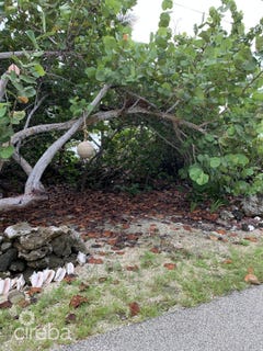 /international/ky/cayman-brac-east-cayman-brac-310095242087/