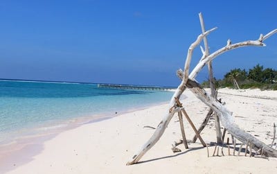 /international/ky/little-cayman-sister-islands-310106625023/