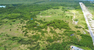 /international/ky/savannah-block-27b-parcel-131lot4-area-40-savannah-savannah-savannah-savannah-120092576928/