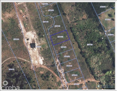 /international/ky/savannah-savannah-lower-valley-310102131195/