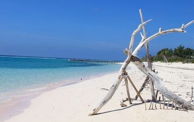 /international/ky/little-cayman-little-cayman-310107597168/