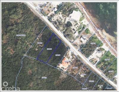 /international/ky/rum-point-rum-point-cayman-kai-310101207069/?lang=zh-cn