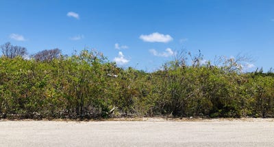 /international/ky/colliers-block-74a-parcel-165-area-70-colliers-east-end-colliers-east-end-310108188592/