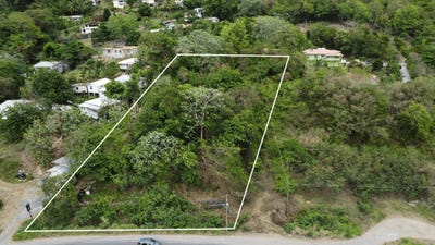 /international/lc/bois-d-orange-bois-d-orange-gros-islet-310108160148/