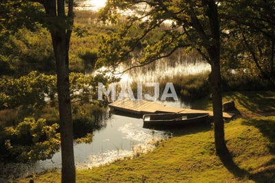 /international/lv/liepupe-kino-liepupe-limbazi-municipality-310106400982/