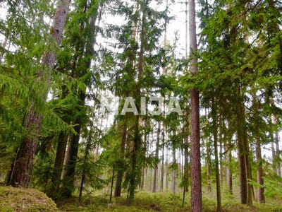 /international/lv/jurkalnes-17-skulte-limbazi-municipality-310104114859/